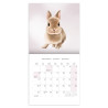 Henna Adel 2025 Wall Calendar Putinki 20 x 20 cm